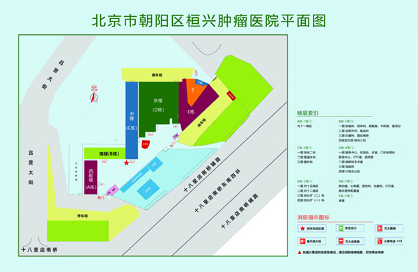 外国日逼网站北京市朝阳区桓兴肿瘤医院平面图